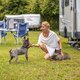 Camping WB Juli 21-111 Camping WB Juli 21-111